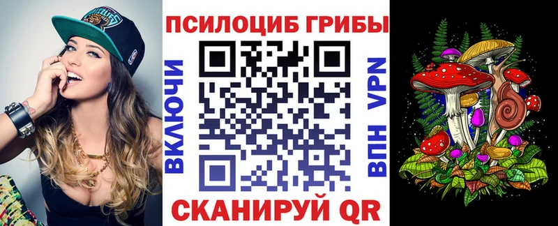 где можно купить наркотик  Тында  Галлюциногенные грибы ЛСД 
