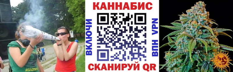 Канабис сатива  Тында 